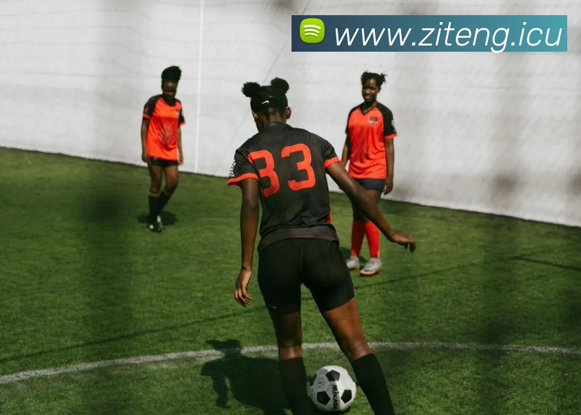 多媒体互动体验